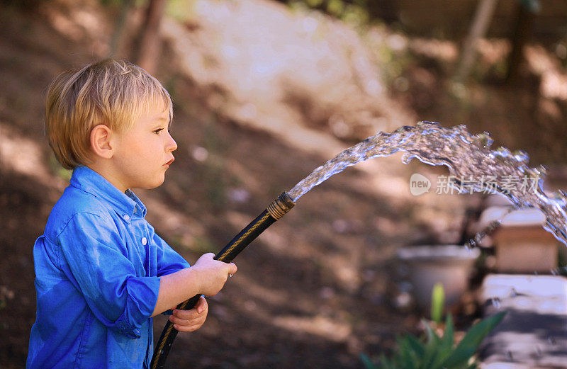 Apprendice gardener